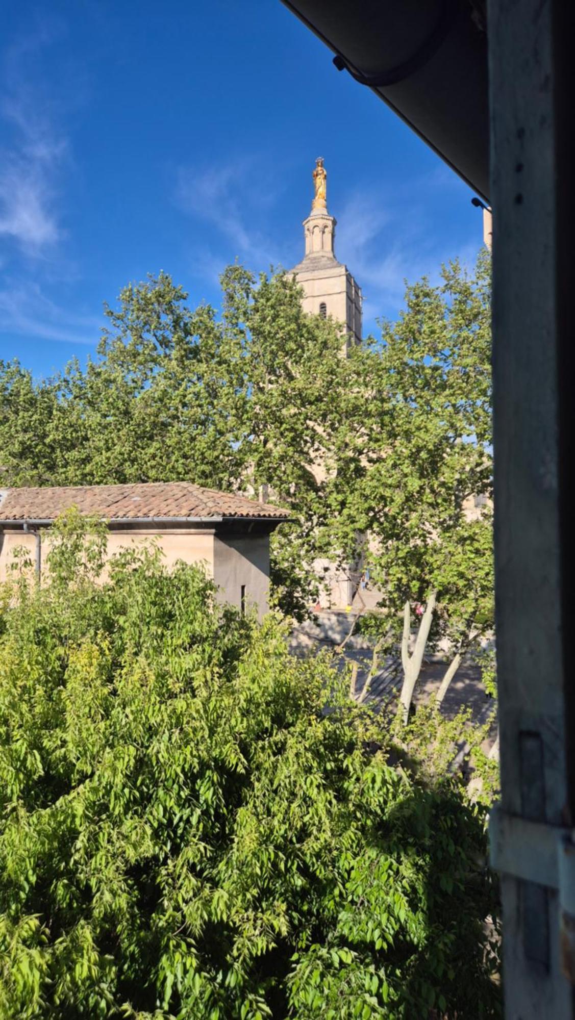 アヴィニョンUn Nid Sur Les Toits Face Au Palais Des Papesアパートメント エクステリア 写真